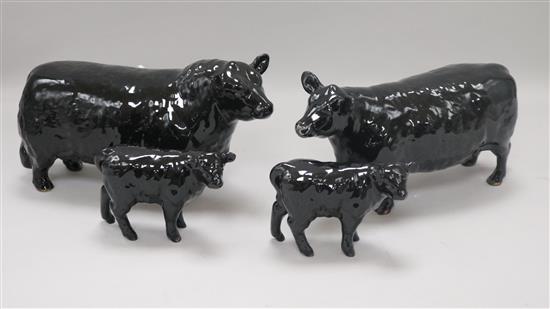 A Beswick Aberdeen Angus cattle family comprising bull 1562, cow 1563 and two calves 1406A, gloss
